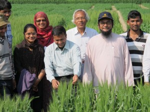 Wheat program_Joshi_6