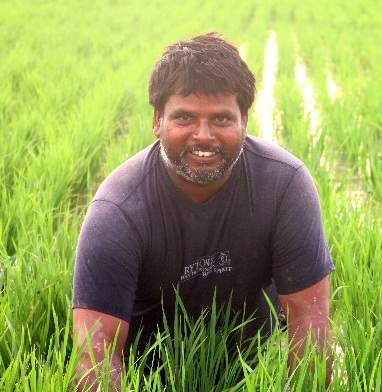 Ramawadh Chaudhary in his field.