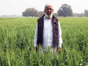 Farmer Afaq Ahmad on his zero till wheat field. Photo: Ajay Pundir/CIMMYT.