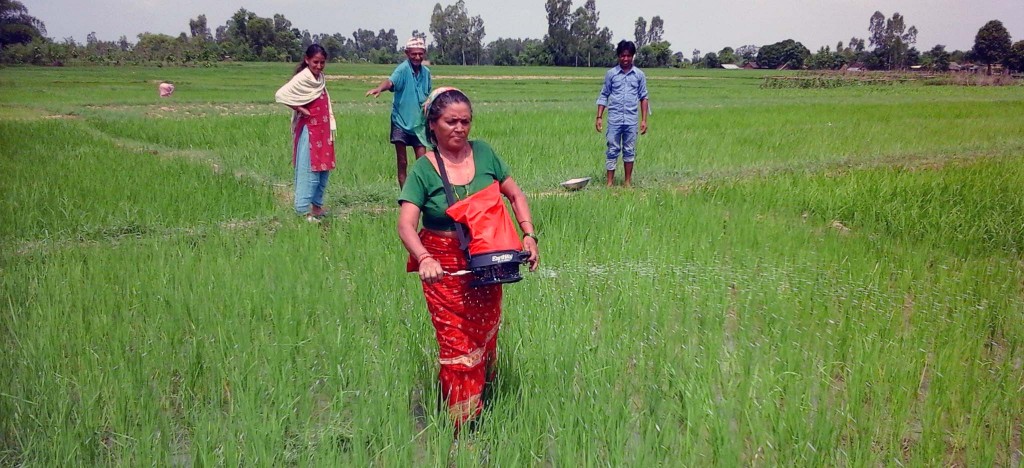 Bardiya Earthway Spreader