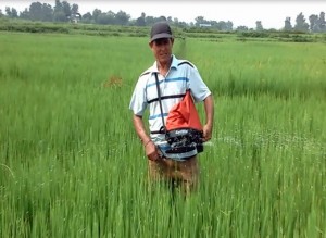 Purna Bahadur Sahi using the spreader for fertilizer application. 