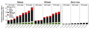 Modeled results describing the potential contribution of surface water irrigated winter rice, wheat and maize to national aggregate production in Bangladesh. 